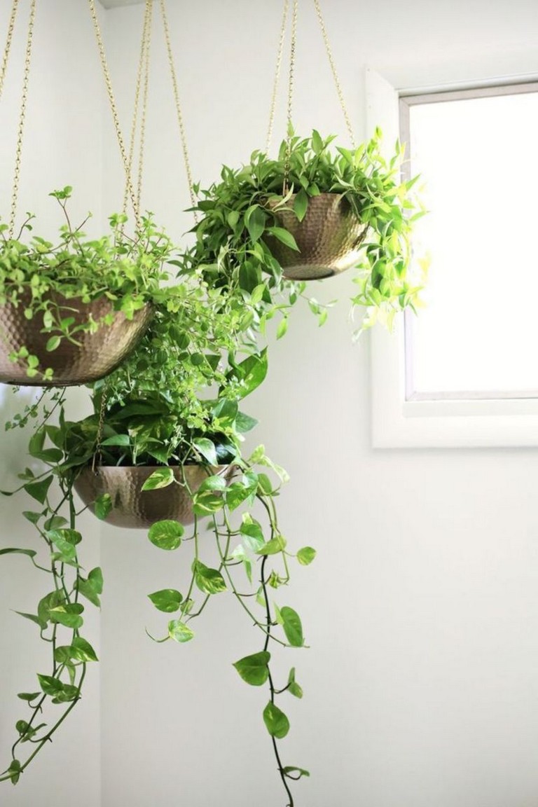 37+ Amazing Indoor Plants Decor Ideas For Your Apartment - Page 2 of 38